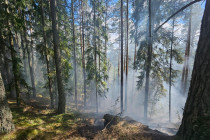 Vrch Kimberk
