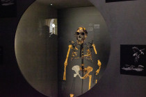 Na snímke kópia kostry australopiteka pomenovaného Lucy, ktorá je súčasťou expozície Ľudia a ich predkovia v Národnom múzeu v Prahe. Praha, 25. augusta 2025.