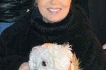 Vianočné trhy vo Viedni, 2014