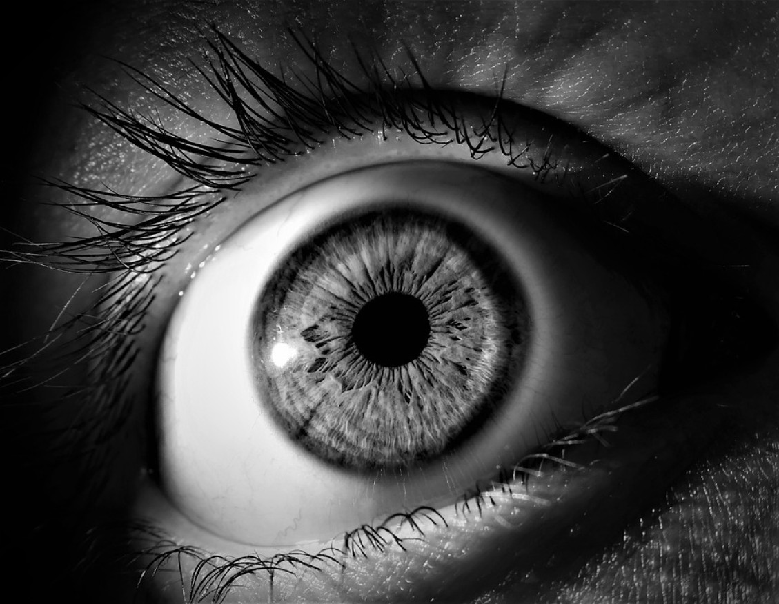 Dúhovka ľudského oka má 256 jedinečných vlastností, zatiaľ čo odtlačok prsta má iba 40