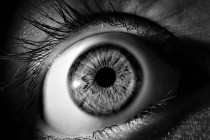 Dúhovka ľudského oka má 256 jedinečných vlastností, zatiaľ čo odtlačok prsta má iba 40