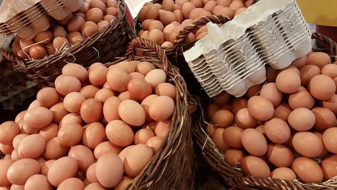 Vajíčka sú drahšie o 81 percent
