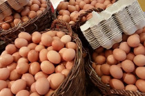 Vajíčka sú drahšie o 81 percent