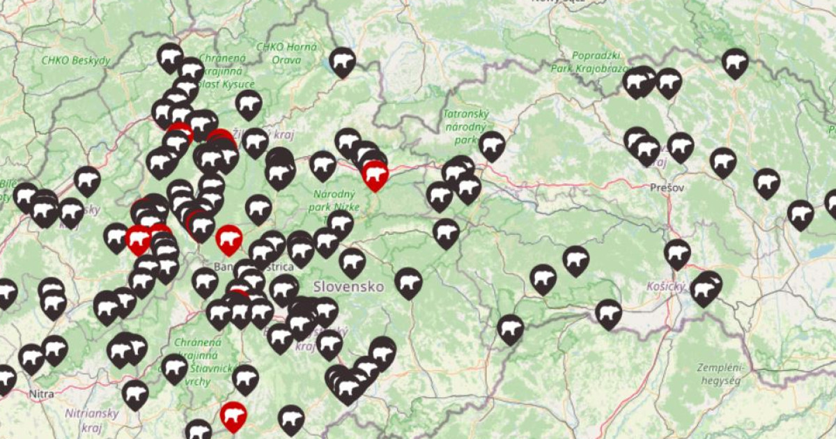 medvede-a-ich-v-skyt-pre-priebe-n-inform-ciu-hlavn-denn-k
